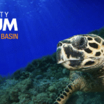 Atlantic City Aquarium, New Jersey, USA - Travelling Chiquite