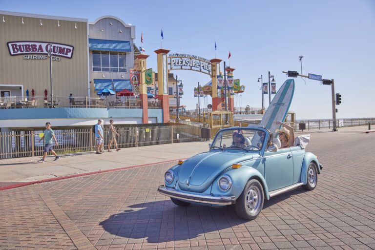 Discover the Magic, Thrills, and Joy of the USA’s Theme Parks