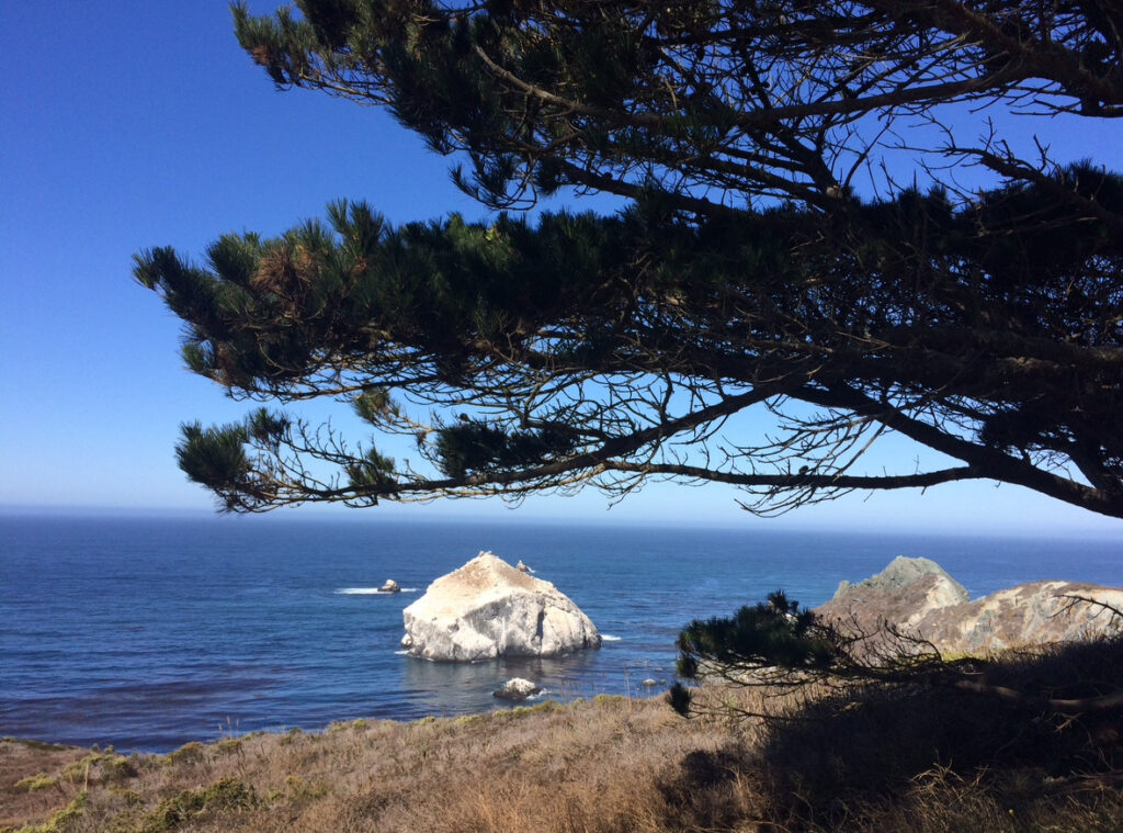 Big Sur and California Coastline - Travelling Chiquita