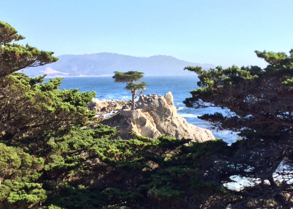 Big Sur and California Coastline - Travelling Chiquita