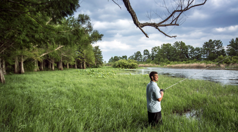 Louisiana Declares 2026 the Year of Outdoors
