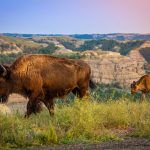 North Dakota Tourism