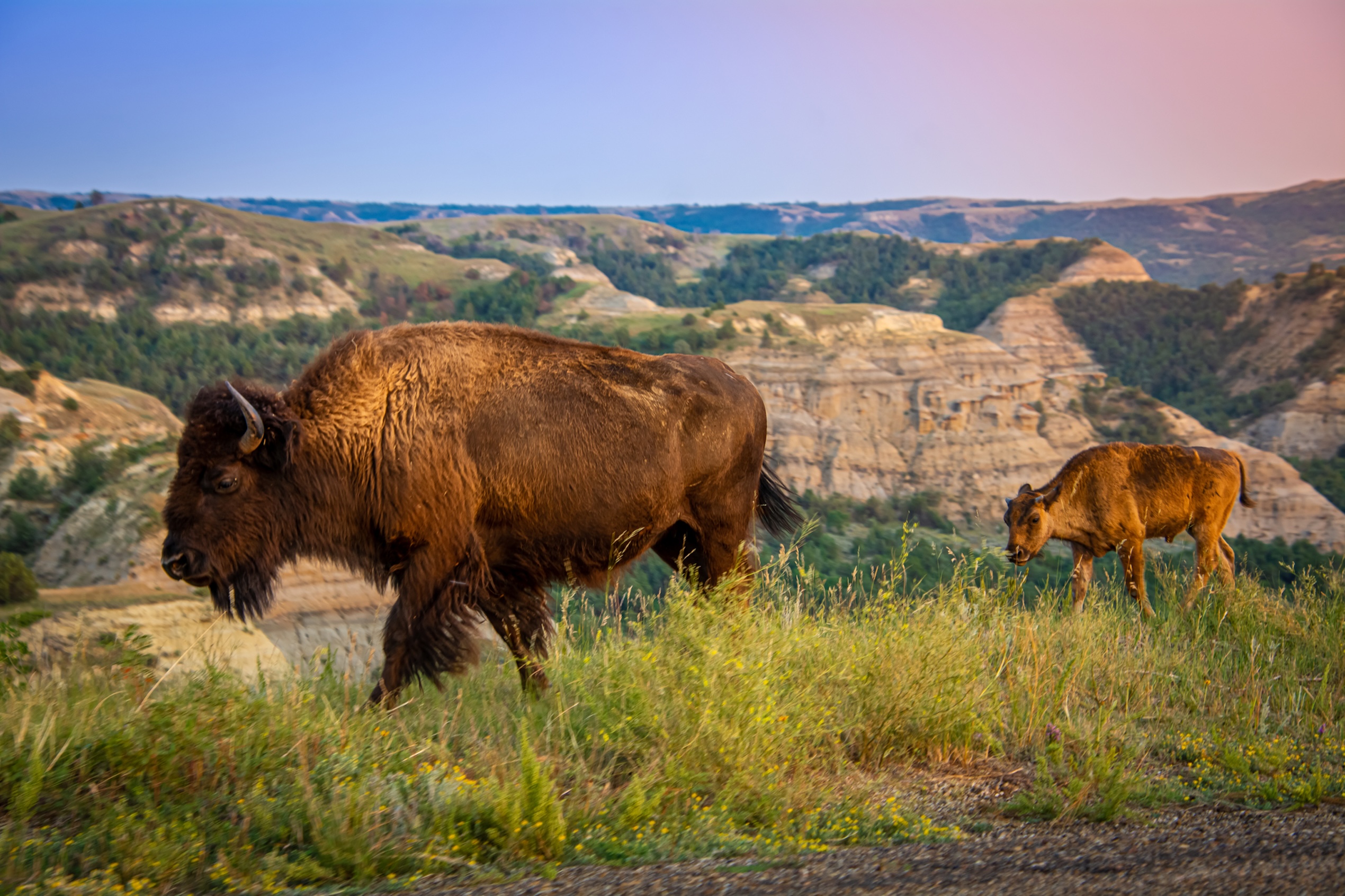North Dakota Tourism
